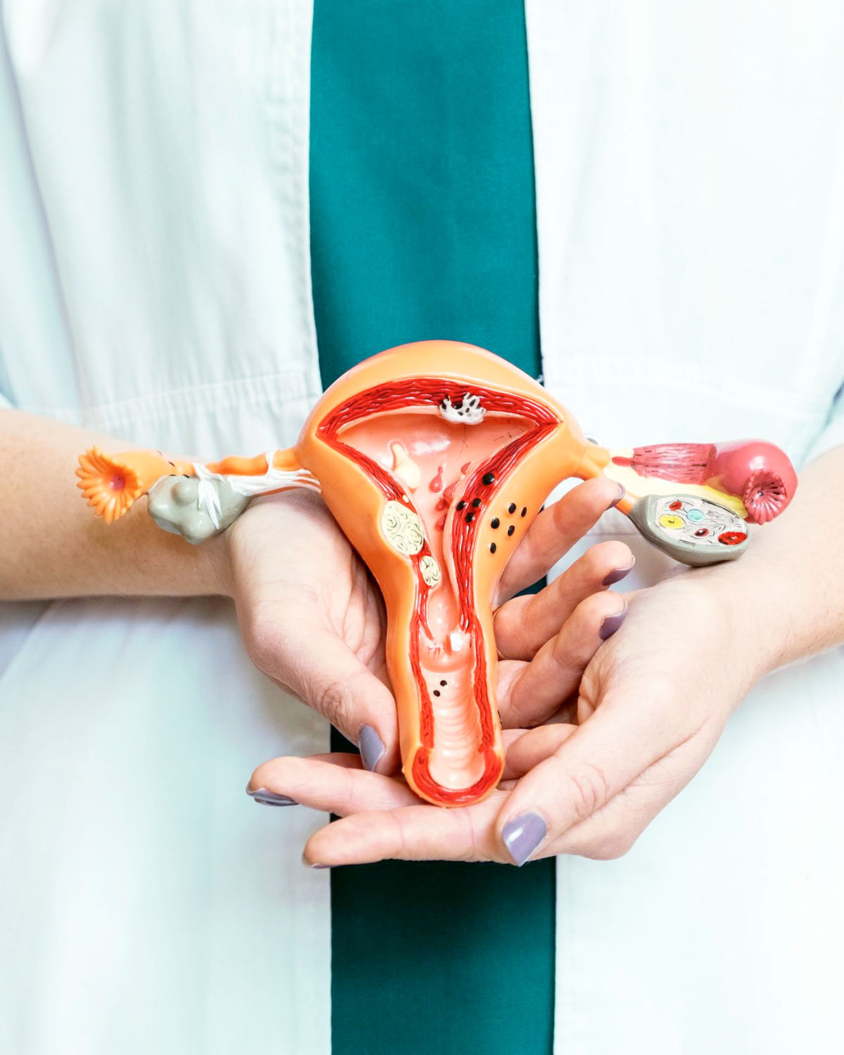 Ginecologia Obstetricia Especialidade