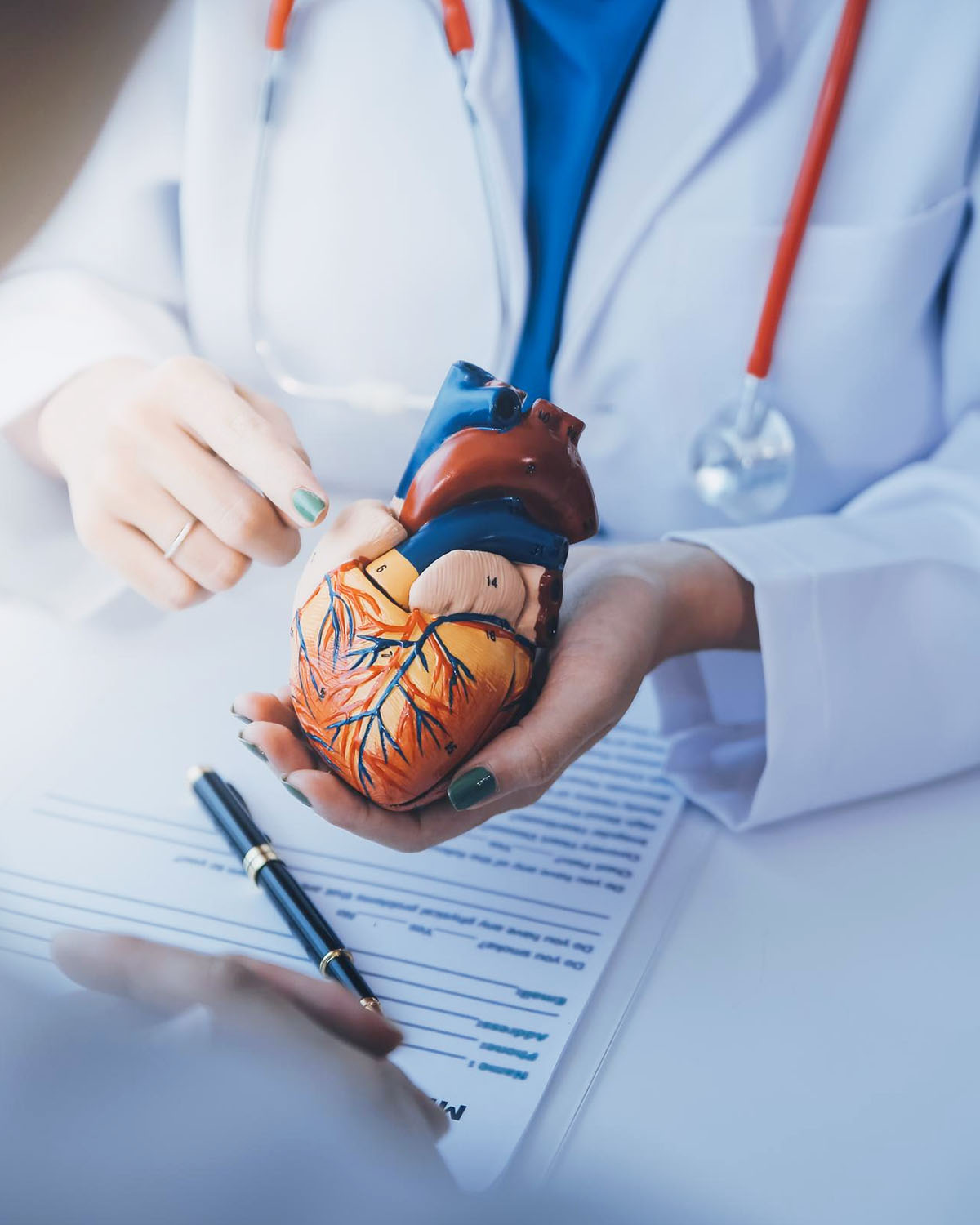 cardiologia especialidade